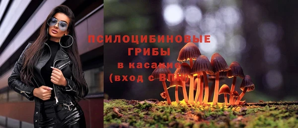 метадон Алексеевка