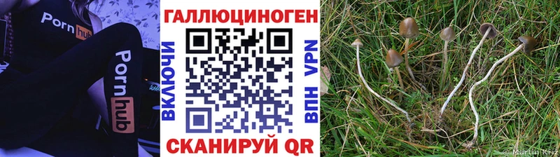 Псилоцибиновые грибы ЛСД  Купить  Чёрмоз 