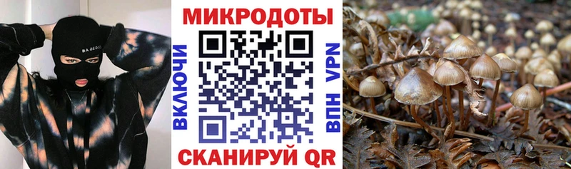 Галлюциногенные грибы Magic Shrooms Чёрмоз